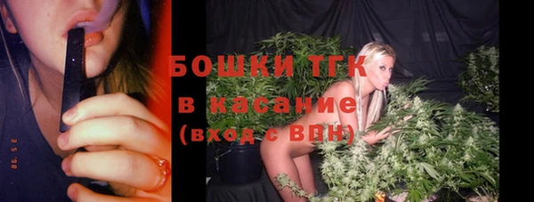 индика Алексеевка