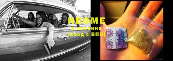 метадон Алексин