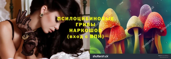 индика Алексеевка