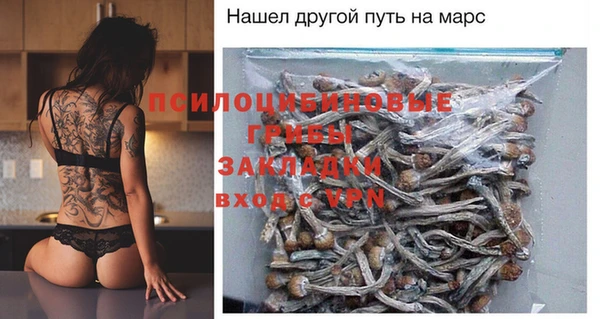 индика Алексеевка