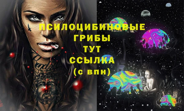 метадон Алексин