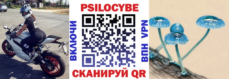 как найти закладки  блэк спрут ссылка  Псилоцибиновые грибы GOLDEN TEACHER  Сатка 