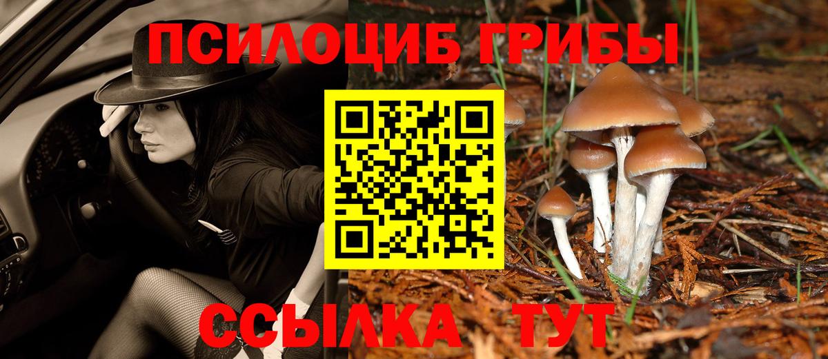 Галлюциногенные грибы Psilocybe  Вход с VPN  Сатка 