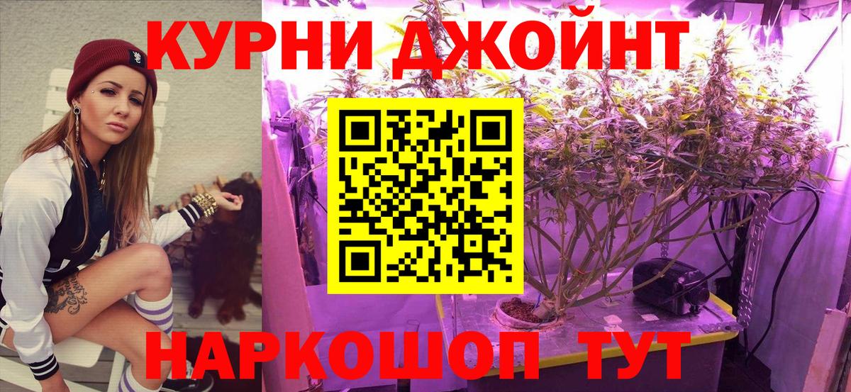 Шишки марихуана планчик Сатка